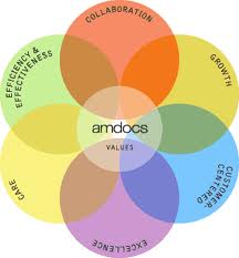Consulting Services