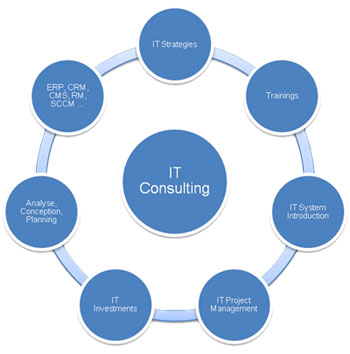 Consulting Services